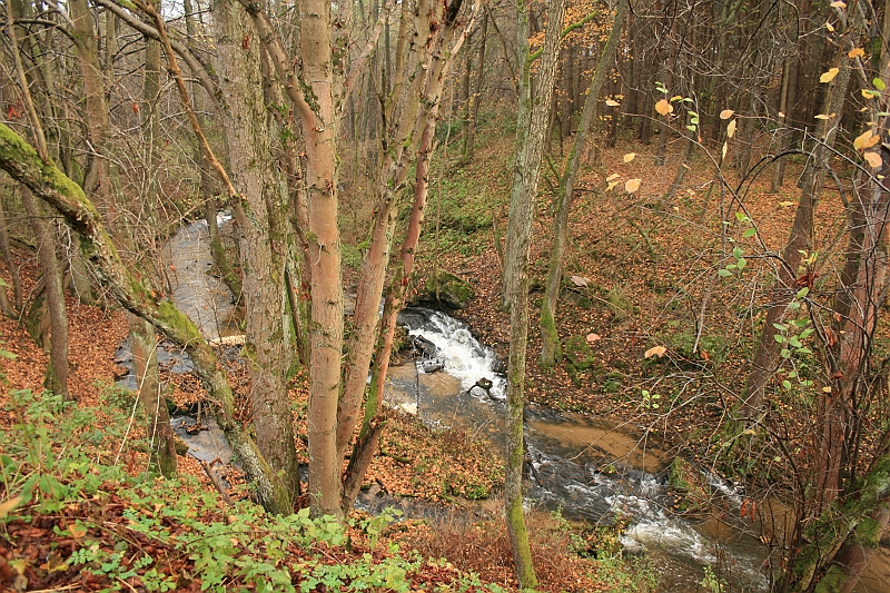 Rostoczek 11.2008 134